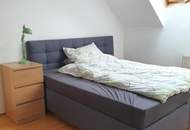 Linz/Stadt: DACHGESCHOSSWOHNUNG 2 Zimmer (3.OG OHNE Lift) in der Lenaustraße (Nähe BRG Hamerlingstraße)