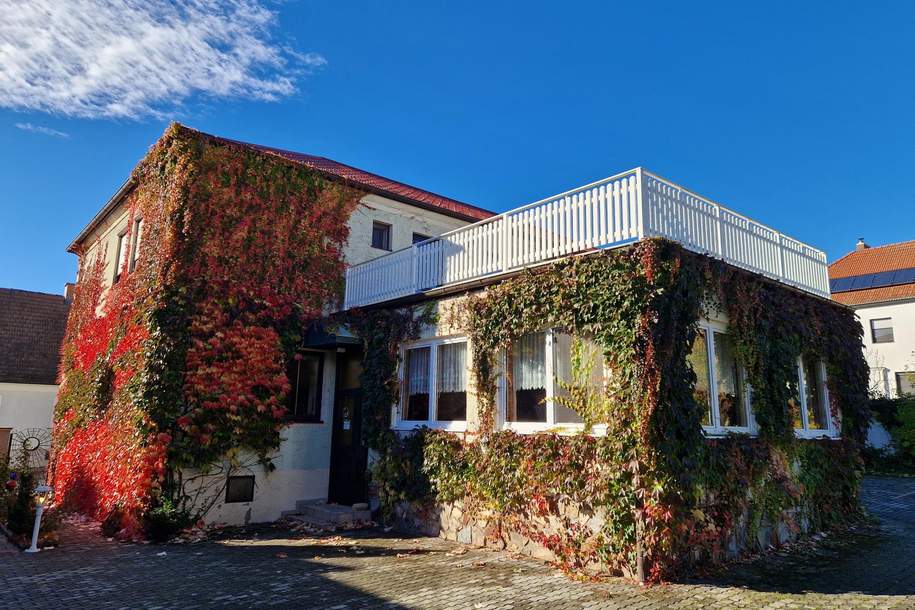 Zwischen Weinreben und Wellen- Ein Haus mit Geschichte, Haus-kauf, 690.000,€, 7072 Eisenstadt-Umgebung