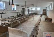 Bauernhof im sÃŒdlichen Waldviertel!