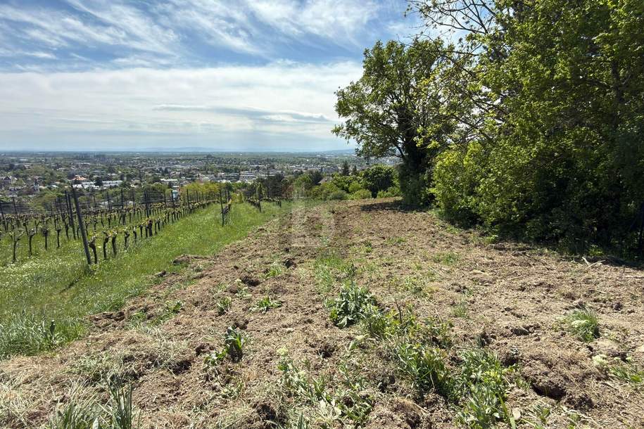 FÜR LANGFRISTIGE ANLEGER IN ORTSRAND-RUHELAGE MIT TOP PANORAMA, Grund und Boden-kauf, 389.000,€, 2500 Baden