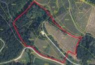 Scheibengrundstück mit Altbestand in Kranach, Gemeinde Gamlitz