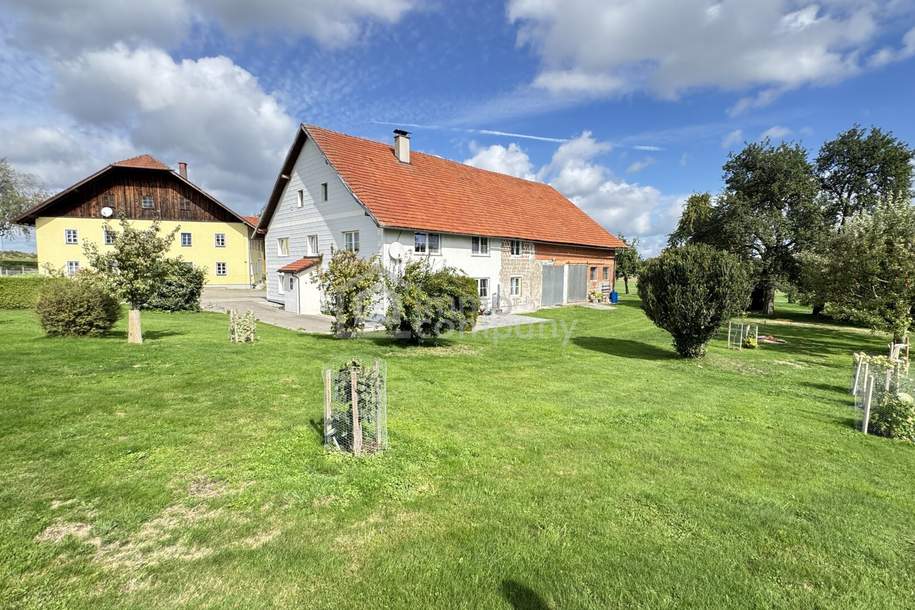 Landhaus mit zwei 140m² Wohnungen, 2000m² Grund, Tenne und Werkstatt/Stall, Seewalchen am Attersee., Haus-kauf, 4863 Vöcklabruck