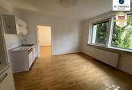 Gute Wohnlage &amp; Grünruhelage: Sanierte Vierzimmer-Wohnung!
