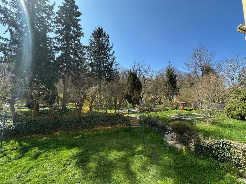 3-Zimmer Gartenwohnung mit Kamin - Sanierungsbedürftig