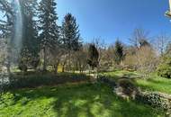 3-Zimmer Gartenwohnung mit Kamin - Sanierungsbedürftig