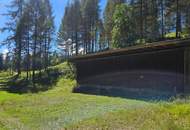 Naturnah investieren: Landwirtschafts- und Waldfläche!