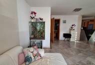 "Kleingartenvilla mit Pool und Parkplatz - KGV Ruthnergasse"