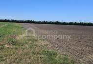 Landwirtschaftliche Fläche in strategisch interessanter Lage der Airport Region – 5,18 ha