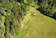 Naturnah investieren: Landwirtschafts- und Waldfläche!