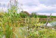 ENTSPANNUNG PUR - FISCHTEICH MIT HÜTTE UND STREUOBSTWIESE