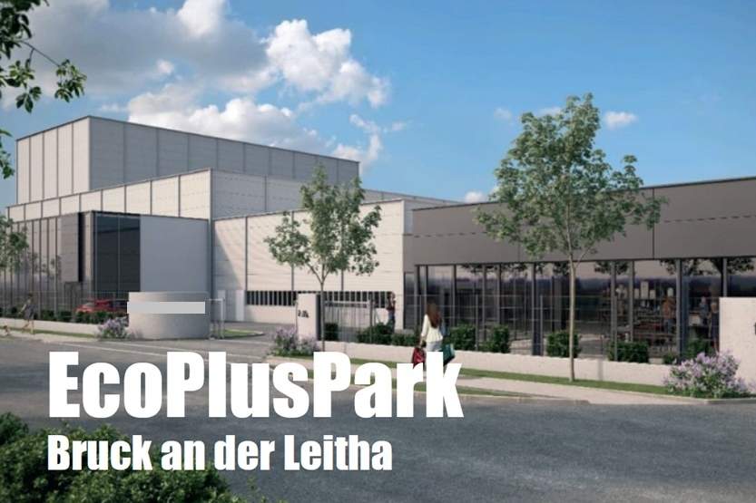 INDUSTRIE &amp; BUSINESS ++ Gewerbestandort im ECO PLUS Park, Gewerbeobjekt-kauf, 9.800.000,€, 2460 Bruck an der Leitha
