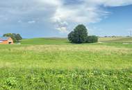 Letzter Baugrund in sonniger Siedlungslage