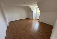renovierte Wohnung mit möblierter Küche zu vermieten