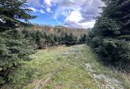 breiter Baugrund in leichter Hanglage mit Altbaumbestand zu verkaufen