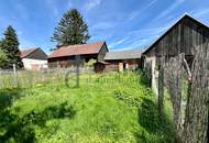 Sanierungsbedürftiges Haus in Langau, mit eigenem Stadl und Garten!