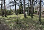 attraktives Grundstück mit Altbaumbestand in Bestlage von Eisenstadt