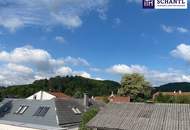 Sommer zuhause genießen! Familienhaus mit eigenem Pool & großer Terrasse