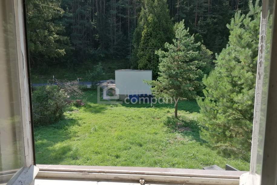 Naturnah wohnen & selbst gestalten - Sanierungsbedürftiges Einfamilienhaus nahe Pernitz, Haus-kauf, 279.000,€, 2763 Wiener Neustadt(Land)