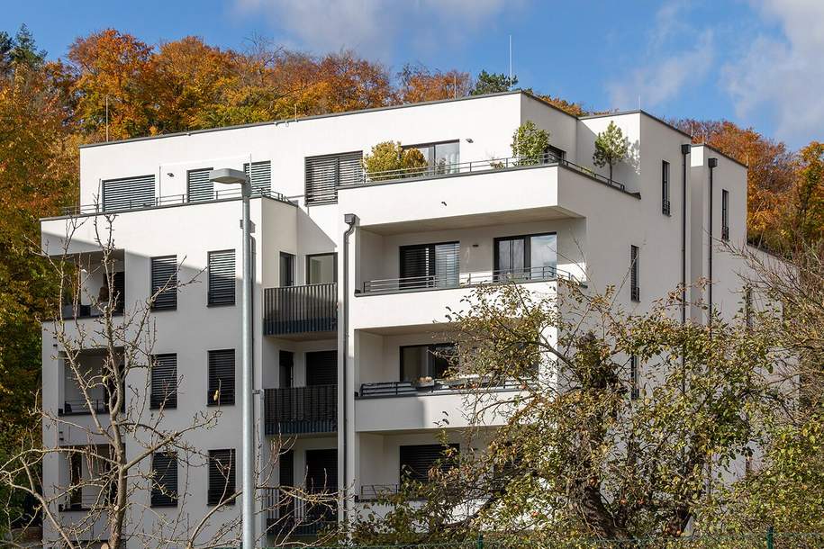 Moderne 3-Zimmer-Eigentumswohnung mit 2 Loggien &amp; Lift!! 90 m² Wohnfläche inkl. Küche &amp; KFZ Stellplatz!!, Wohnung-kauf, 349.999,€, 2563 Baden