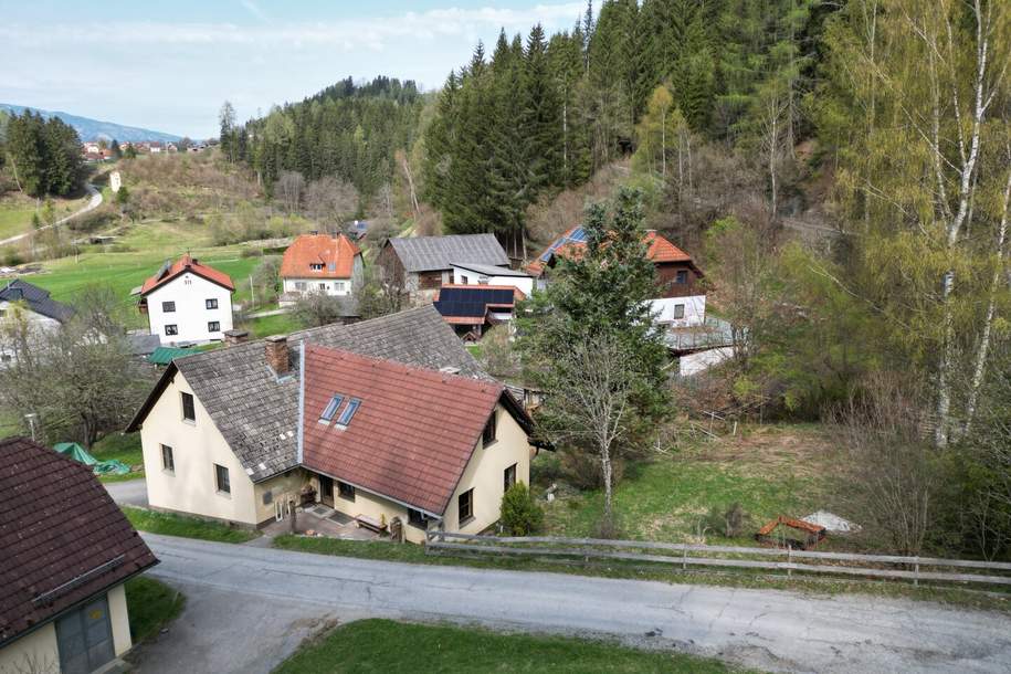 Idyllisch gelegenes Landhaus am Mühlbach mit Waldanteil in herrlicher Aussichtslage, Haus-kauf, 198.000,€, 8822 Murau