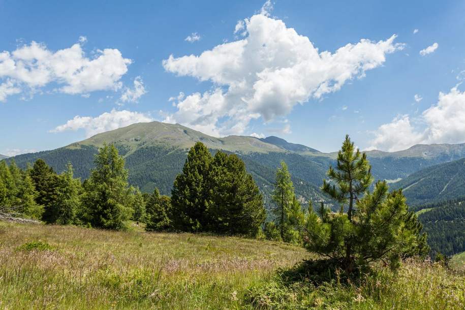 Baugrund mit Zweitwohnsitz - neuer Angebotspreis!, Grund und Boden-kauf, 395.000,€, 8862 Murau