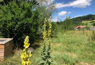 Schönes und modernes Einfamilienhaus im Wienerwald - zwischen Wien und St. Pölten