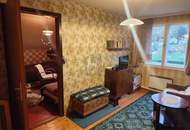 FAMILIENIDYLLE MIT GARTEN