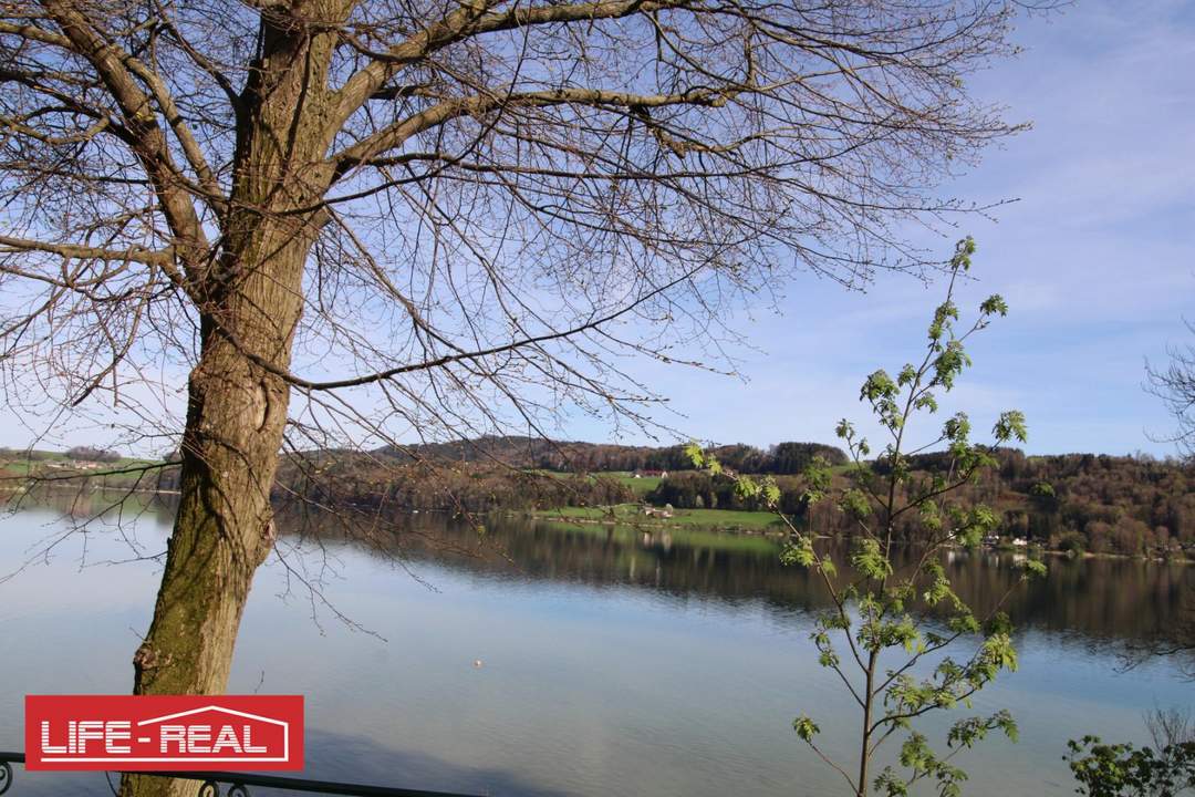 Grundstück mit Seltenheitswert am Mattsee, KEIN BAULAND
