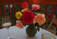 Einzigartig. Charmant. Atemberaubend. Wohnjuwel mit einmaligem Karawankenblick und Drau