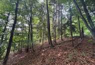 Idyllisches Grundstück am Ende einer Sackgasse – sonniger Bauplatz mit eigenem Wald