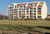 HOCHWERTIGE QUALITÄT & ZEITGEMÄSSE ARCHITEKTUR!