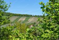 Maisonette mit Garten & Grünblick auf die Neustifter Weinberge