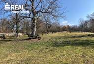 Seltene Gelegenheit: Großes Haus mit 3.100 m² Grundstück in Bad Tatzmannsdorf