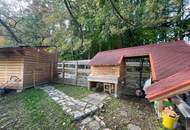 Holzhaus in Waldrandlage – absolute Ruhelage mit Dorfnähe und modernem, belagsfertigem Zubau