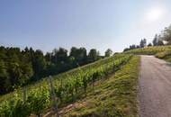 Solitär im Rebenland - Weingut in der Südweststeiermark in prächtiger Alleinlage
