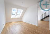 Über den Dächern Wiens: 3 Zimmer DG mit 360 Grad Dachterrasse