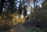 Einmalige Gelegenheit: Waldgrundstück mit ca. 3 ha in Graz-St. Peter/Messendorf zu verkaufen!