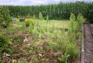 Wohngefühl trifft Gartenflair. 87m² Halbparterrewohnung mit Blick ins Grüne in Obervogau