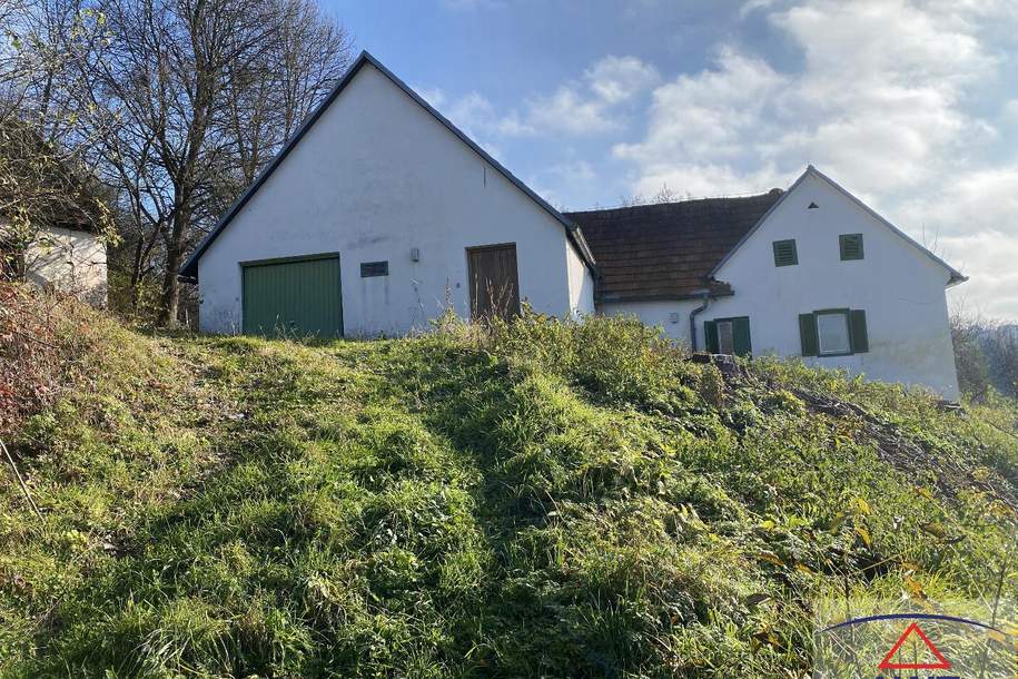 Netter Vierkanthof in Alleinlage mit herrlicher Aussicht!, Haus-kauf, 200.000,€, 8274 Hartberg-Fürstenfeld