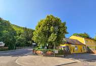 Großzügige 4-Zimmer-Wohnung im Wienerwald - provisionsfreier Erstbezug!