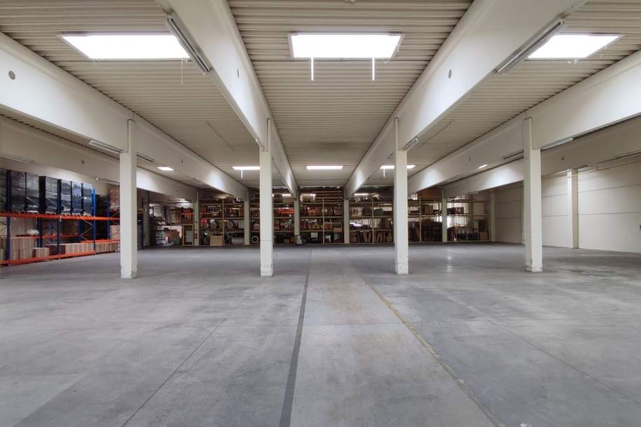 Halle mit Büro, Gewerbeobjekt-miete, 3.600,00,€, 4063 Linz-Land