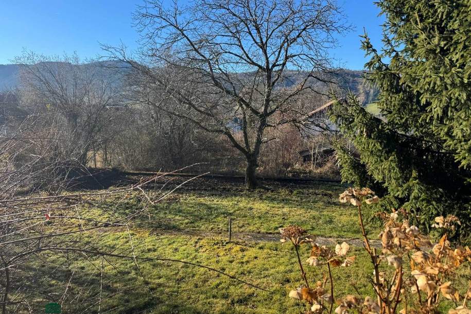 Grundstück in Bestlage Zell am Moos, Grund und Boden-kauf, 695.000,€, 4893 Vöcklabruck