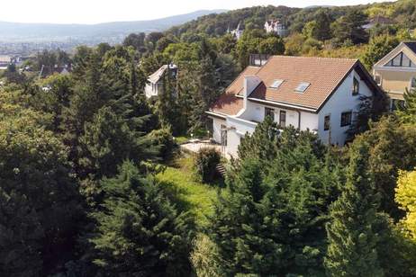 Repräsentative Architektenvilla in absoluter Ruhelage am Mitterberg mit Bürodachgeschoß- provisionsfrei! (Provisionsfrei), Haus-kauf, 1.599.000,€, 2500 Baden
