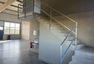 Neubau Gewerbehalle Teesdorf B17 - 154 bis 399 m2 - Fussbodenheizung - sofort beziehbar