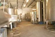 Versteigerung: großzügiger Weinguts-Betriebsstandort mit Hallen und Lagerflächen