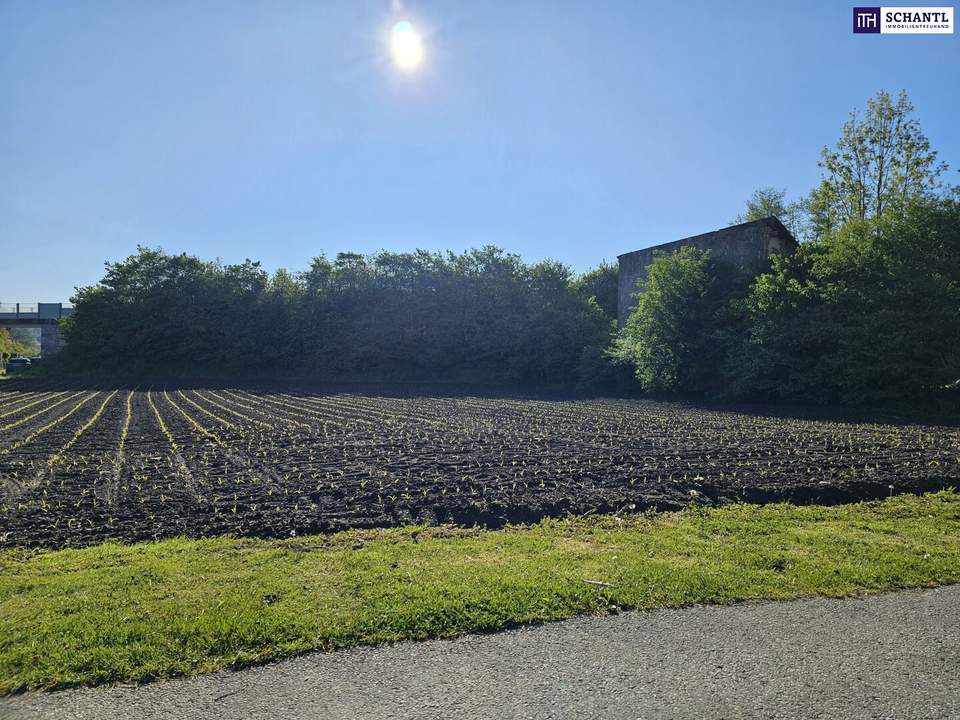 Erstklassiger Bauträgergrund mit durchdachter Planstudie in bester Lage – optimale Voraussetzungen für Ihr Bauprojekt!