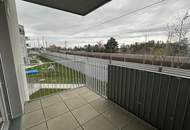 einen Katzensprung von Wien entfernt