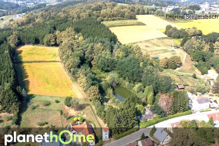 Direkte Thermennähe in Stegersbach – Traumobjekt mit Altbestand, Fischteich und Wald, Haus-kauf, 7551 Güssing
