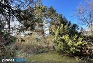 Großes, gut teilbares Baugrundstück mit Abbruchgebäude!