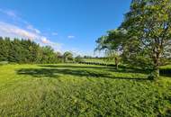 Exklusives Grundstück in Breitenbrunn, SEEBLICK